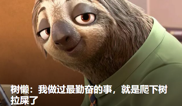树懒：我做过最勤奋的事，就是爬下树拉屎了