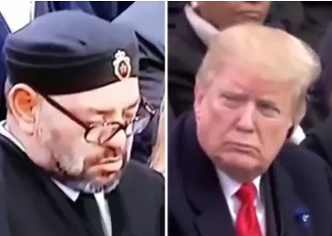 来自特·教导主任·朗普的凝视…