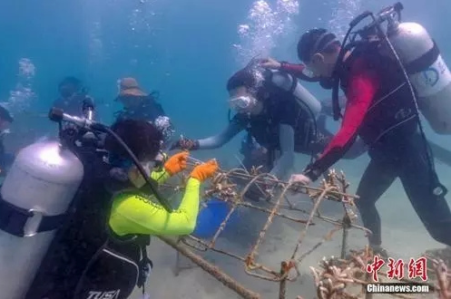 出境游事故接连发生 这些涉水项目远比你想的更危险