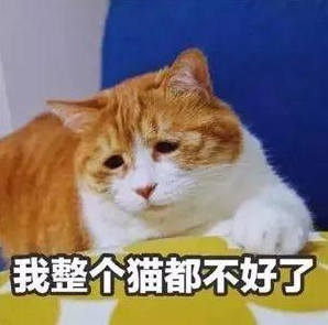 WeChat Screenshot 20190730182414