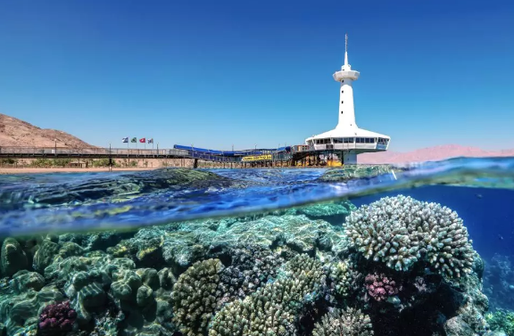 这才是圣诞假期打卡的方式！超豪华顶配级别旅游，安排！