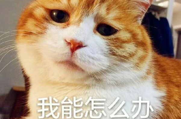 “一周和7个男士看电影”93年姑娘被逼疯：没想到回家工作是噩梦的开始