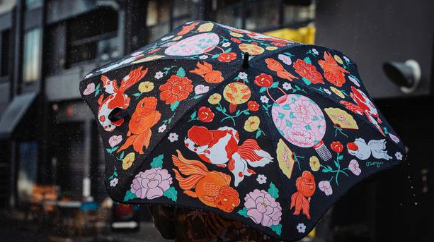 阴雨绵绵的周末，奥克兰的雨下午就来了啊！