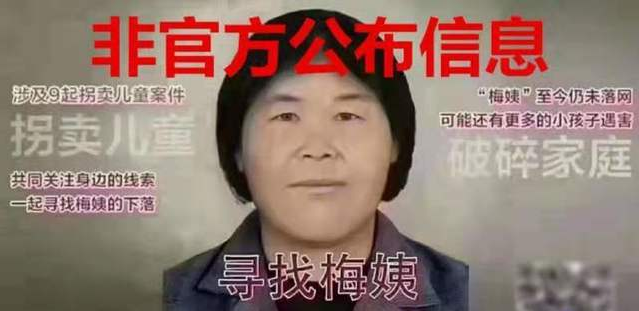 所有“梅姨”信息均不属实 五问“寻找梅姨”