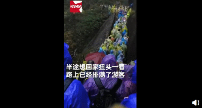 “我后悔了！我想回家！”黄山游客一嗓子冲上热搜，过分真实…