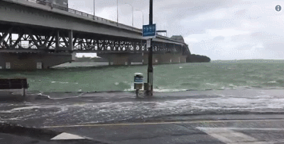 Westhaven 8 45 GIF