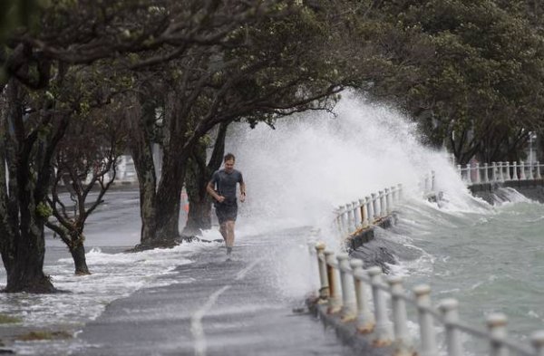 Wild weather201802010115