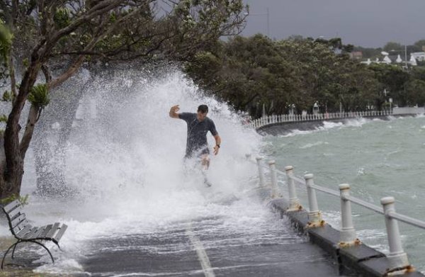 Wild weather201802010116
