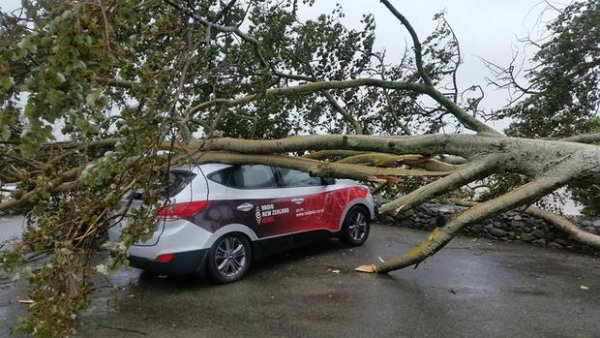 Wild weather2018020105