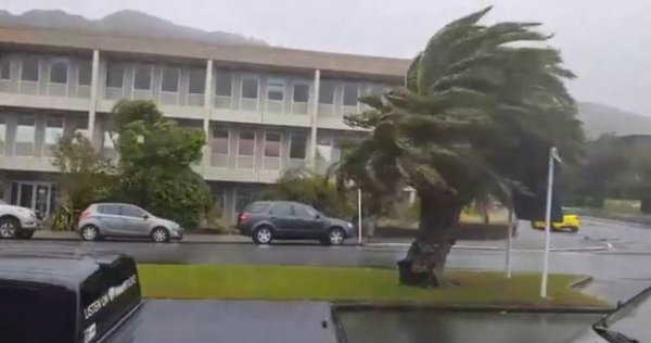 Wild weather2018020106