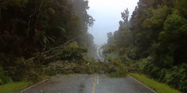 Wild weather2018020109