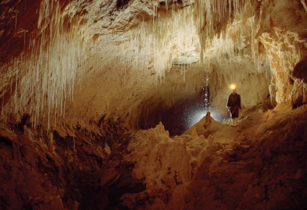 aNmr8qoQDCiaQohBSshW AD63 Luckie Strike Cave Waikato Absolute Adventure