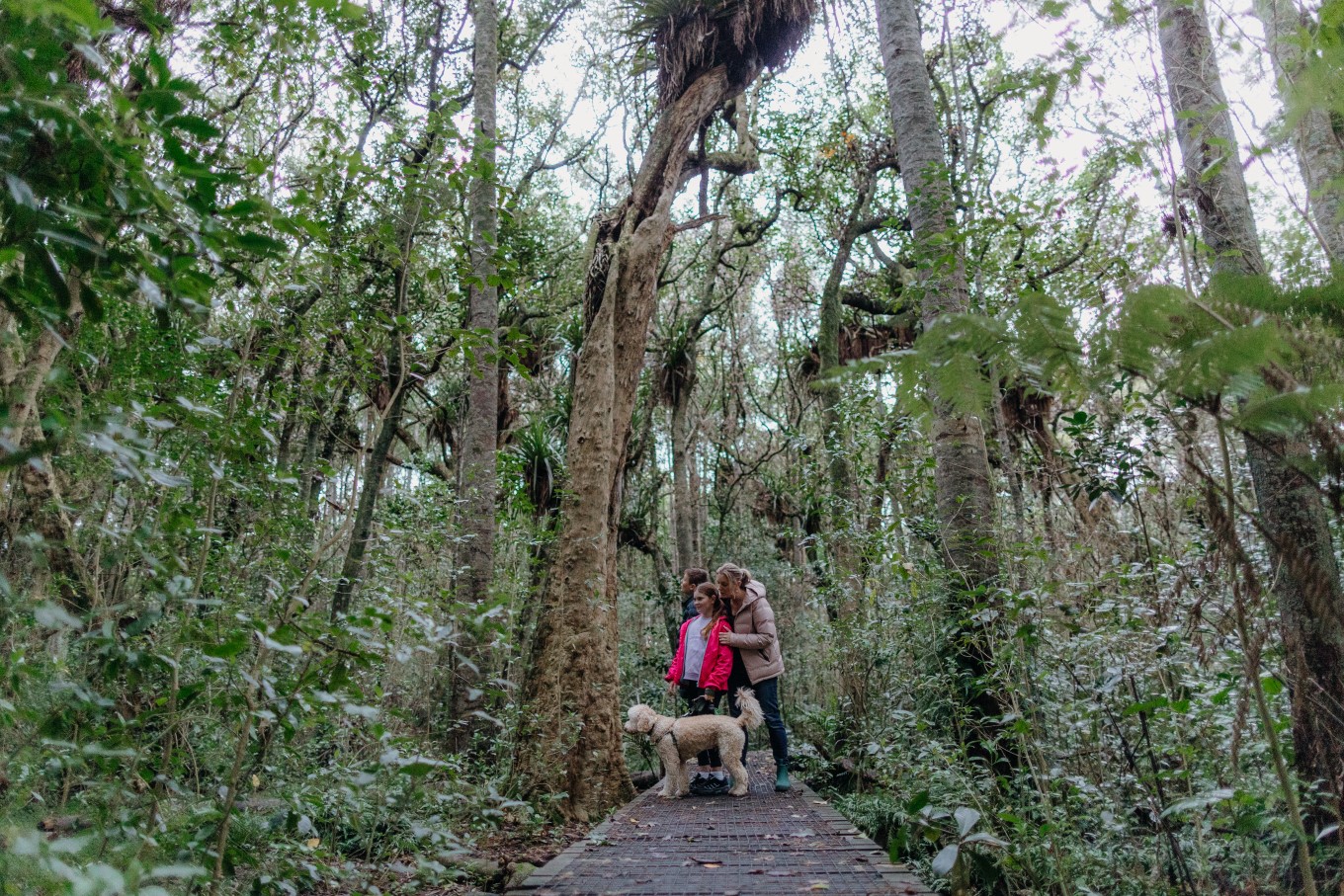 ac-smiths-bush-reserve