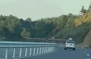 accident 1030