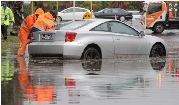 albany car trapped