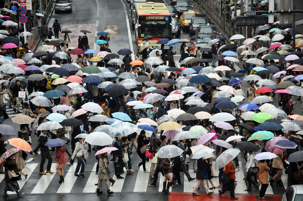 新西兰净移民水平倒退回两年前 非公民离境人数又双叕增加