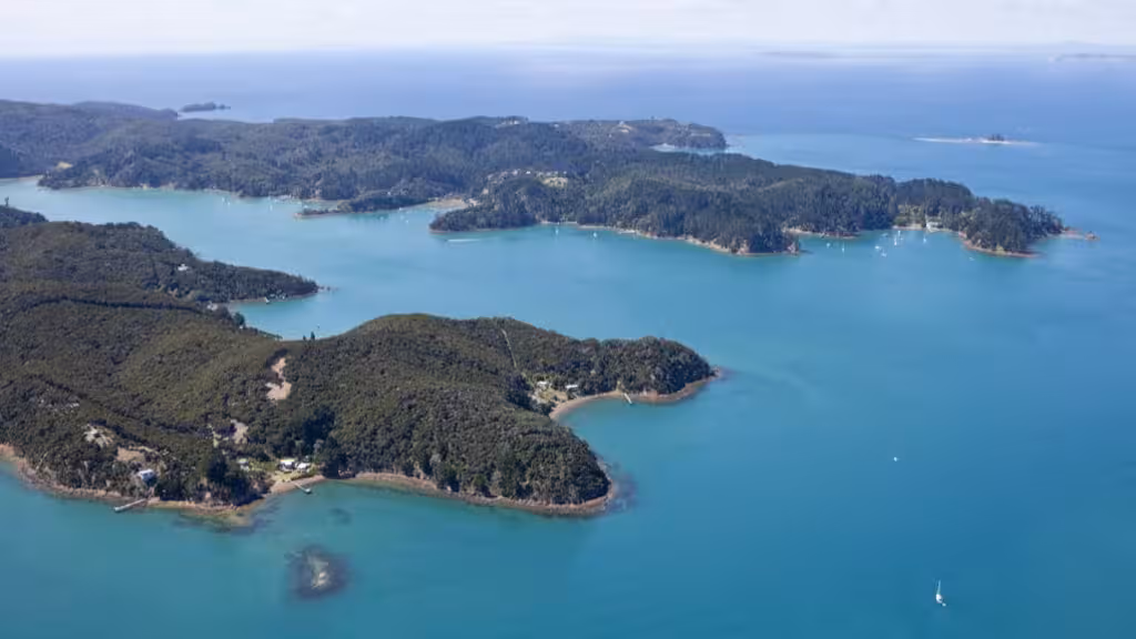 an-aerial-view-of-kawau-island-U2RBV2YZ2FBVTLGMU7UWE54BEA.jpg | 奥克兰深夜猎杀行动出事!一人遭枪击命危,44岁男子被控