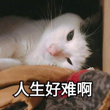 20191204110406