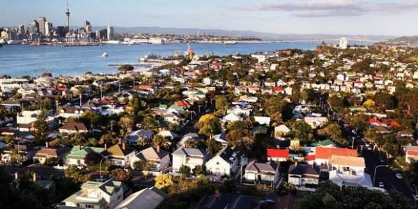 auckland house4