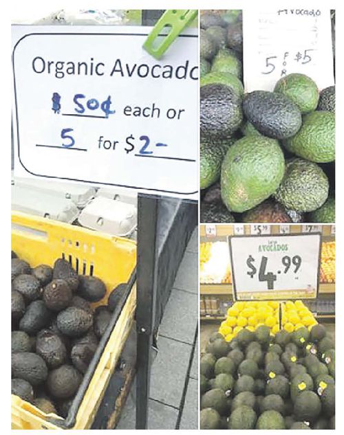 avocado
