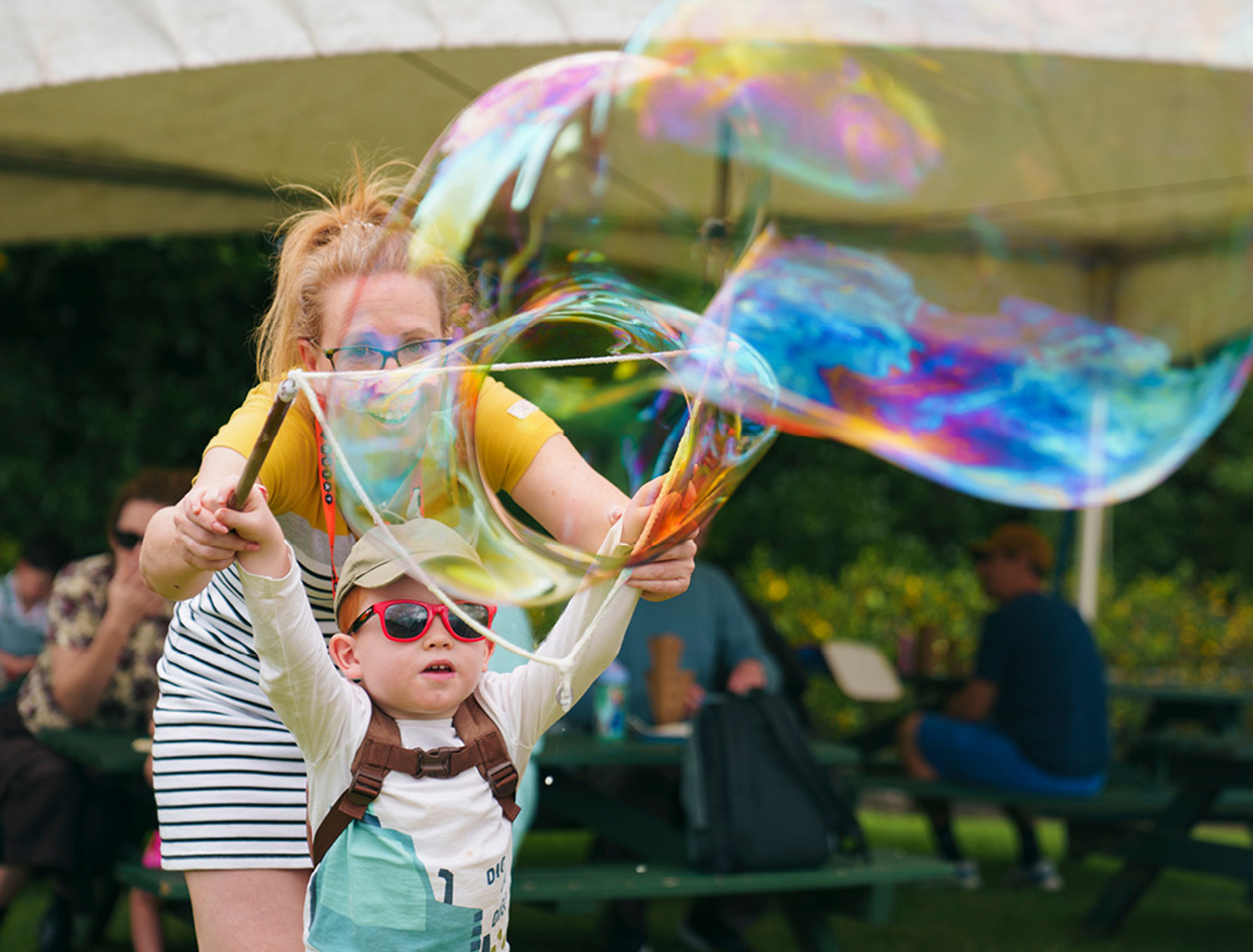 bubbles_october_graphic-assets_our-auckland_zavmq5sa
