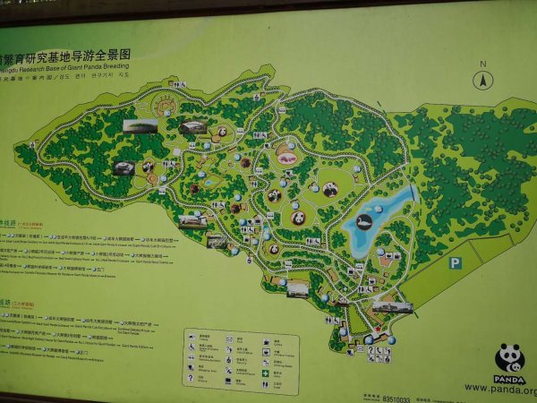 chengdu panda research base 5