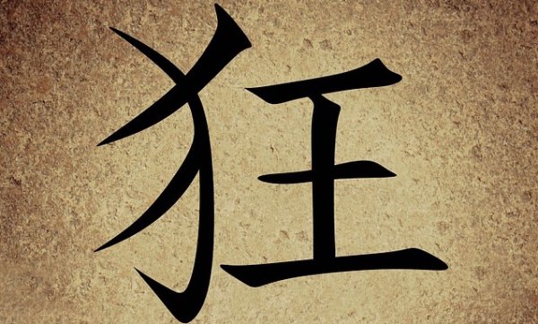 chinese 676645 640