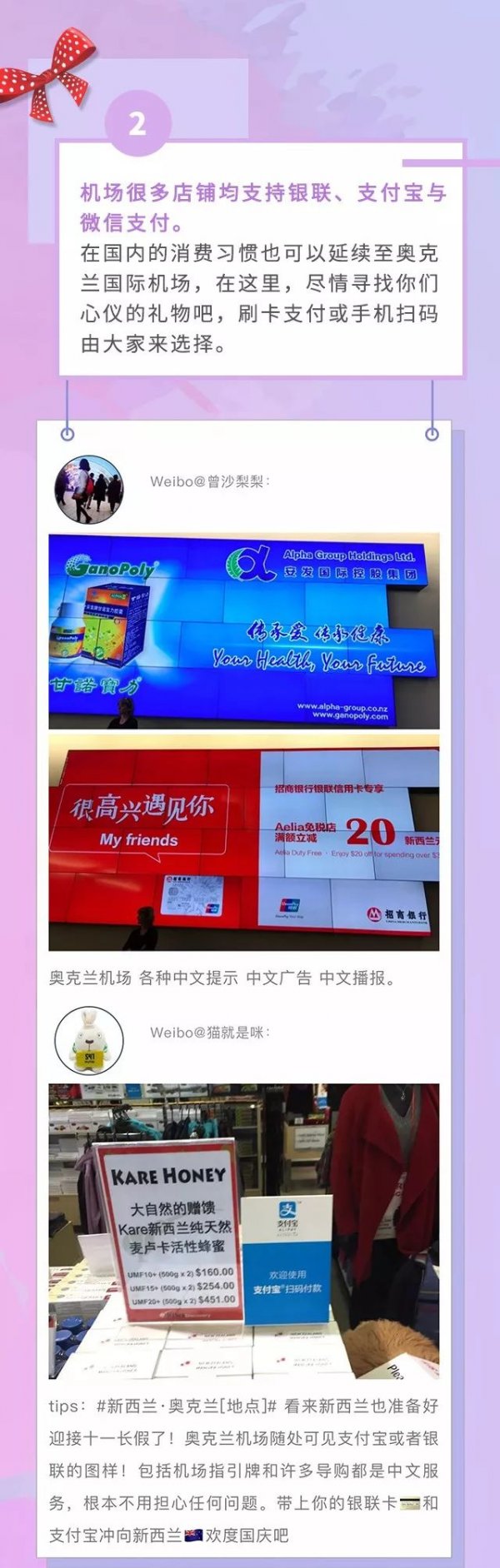 chinese elements in aucland airport 3