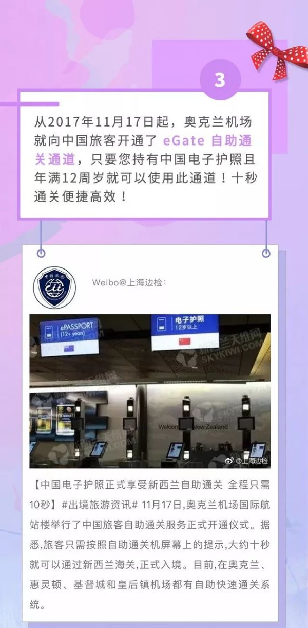 chinese elements in aucland airport 4