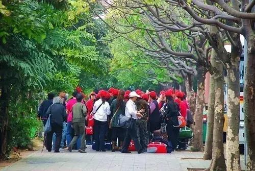 chinese old tourists1