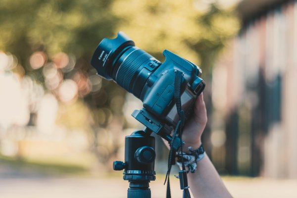 christian wiediger 746242 unsplash