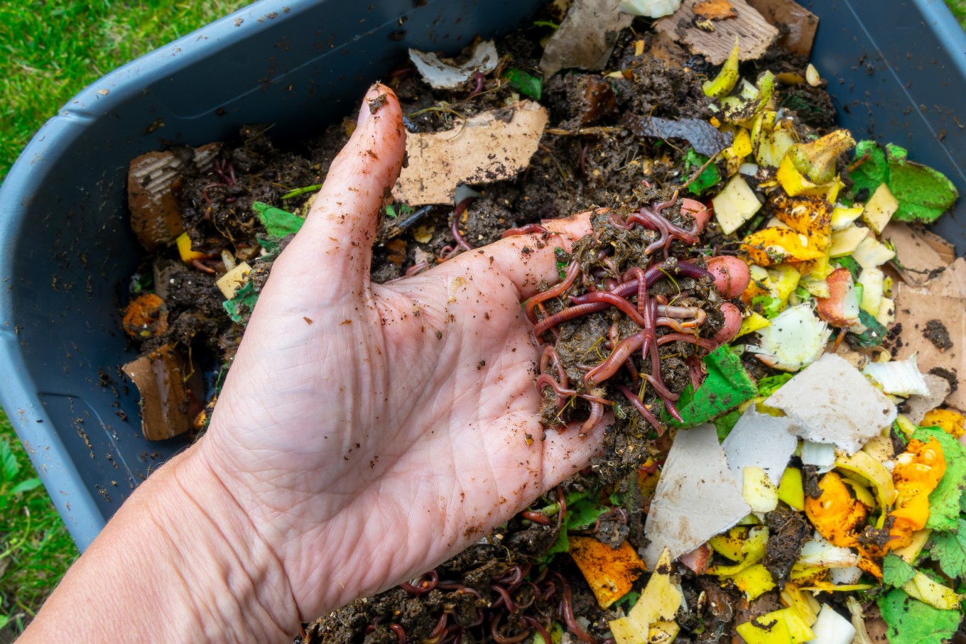composting-image-3