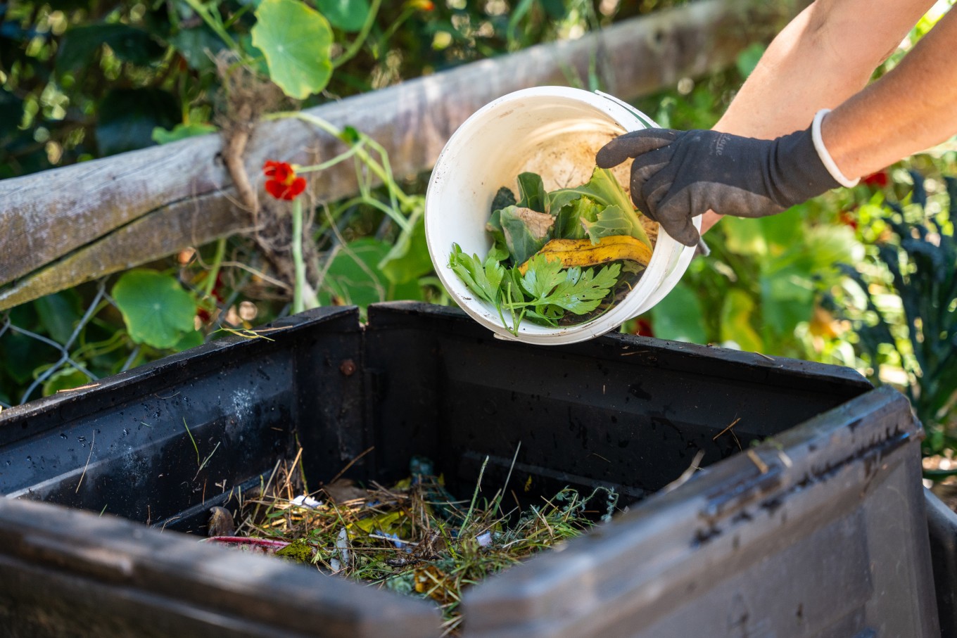 composting-image