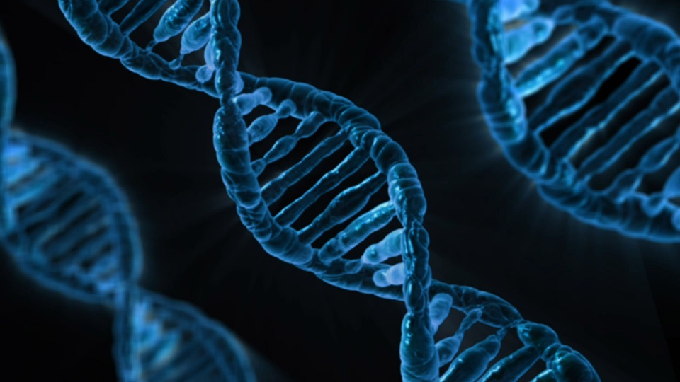 科学界吵了这么久,到底人能不能永生不死啊?