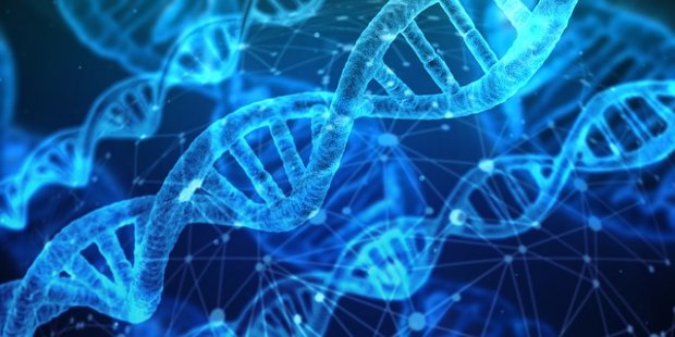 广东初步查明“基因编辑婴儿事件” 两部委回应将配合严肃处理