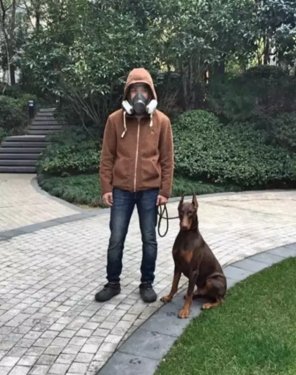 dog and owner dog and owner