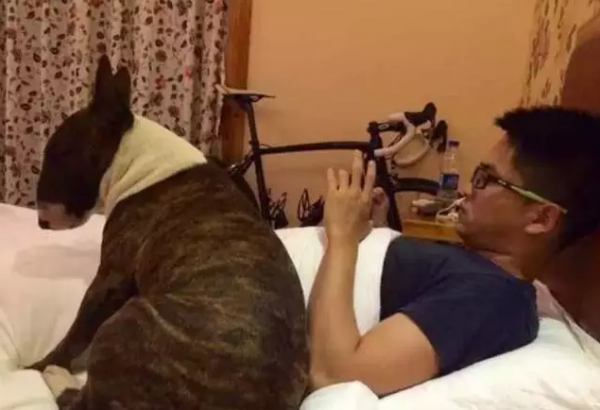 dog and owner