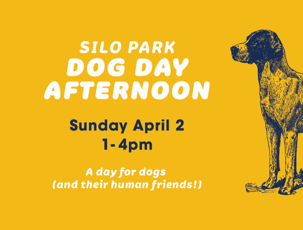 dog day afternoon our auckland
