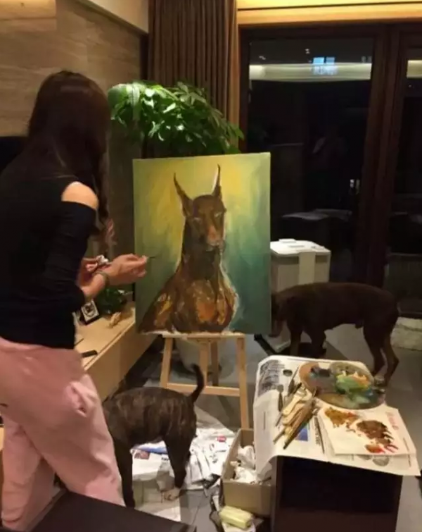 dog portrait