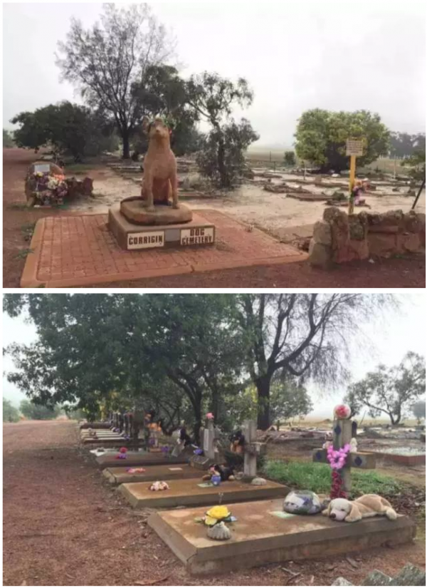 dog tomb