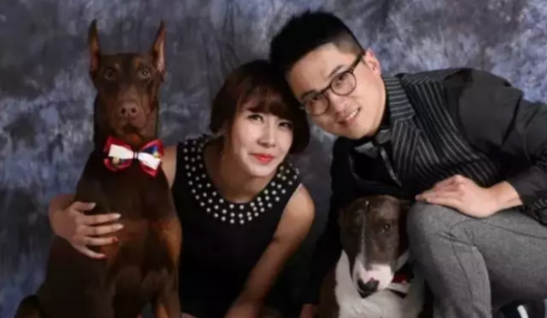 dogs and owners