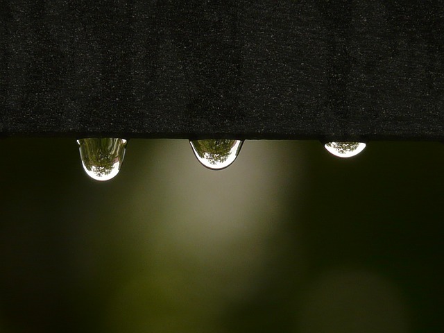 气氛并不融洽的一周 雨一直下！