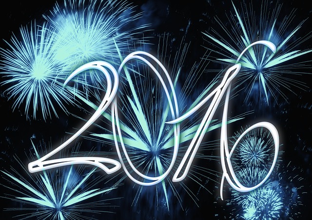 2016：即使偏安一隅 那只黑天鹅依然若隐若现！