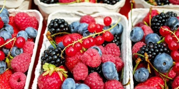 fruits