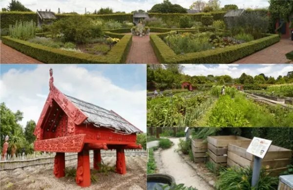 gardenagain.webp