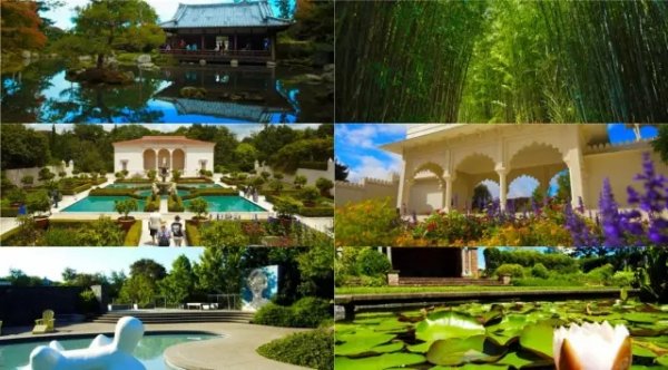 gardennn2.webp