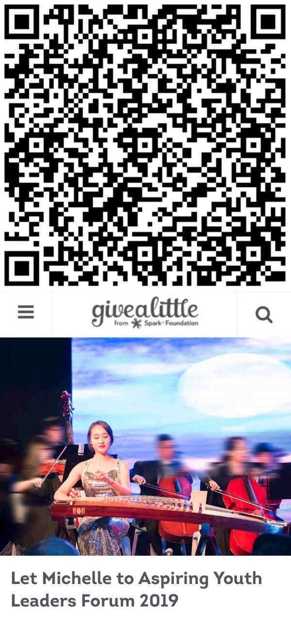 givealittle.webp