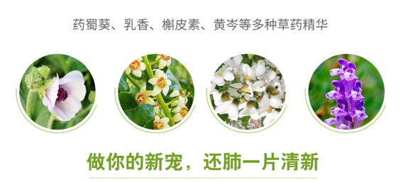 gohealthy 20200203102003