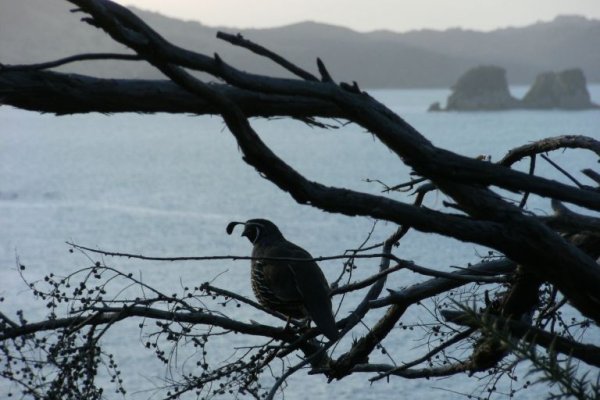 hahei holiday 055