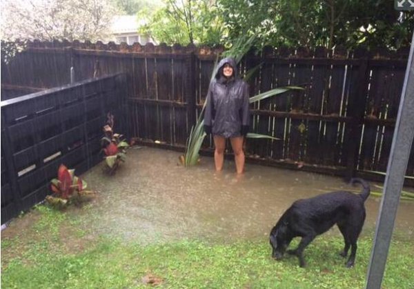 home flood north shore